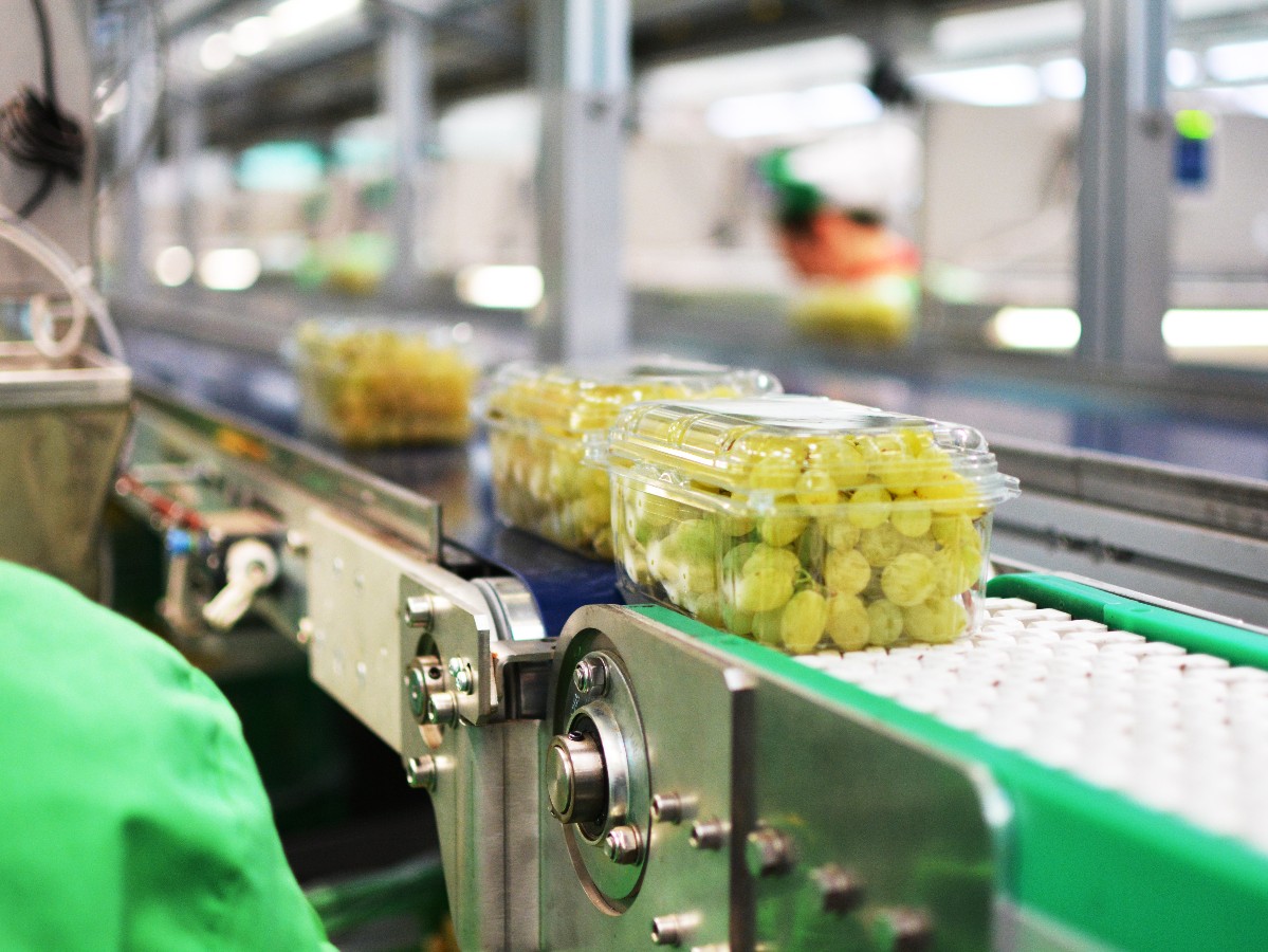 Agroalimentare — immagine 1