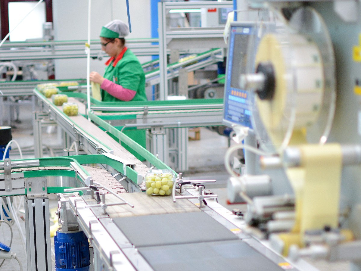 Agroalimentare — immagine 4